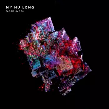 My Nu Leng: Fabriclive 86