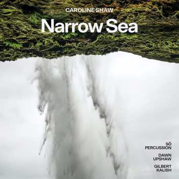 Album Caroline Shaw: Narrow Sea