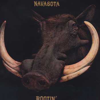 LP Navasota: Rootin' 462542