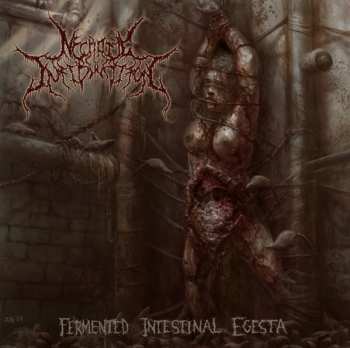 Album Necrotic Infibulation: Fermented Intestinal Egesta