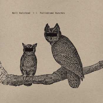 Album Neil Halstead: Palindrome Hunches