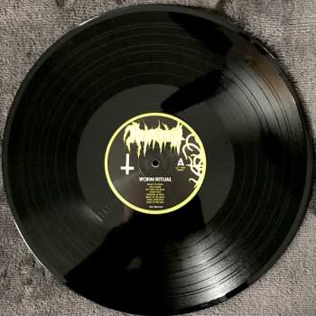 LP Nekrofilth: Worm Ritual 573087