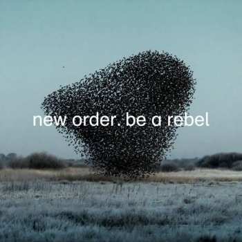 LP New Order: Be A Rebel 546648