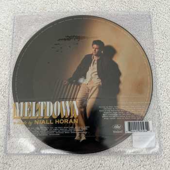 SP Niall Horan: Meltdown PIC | LTD 609843