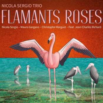 Album Nicola Sergio: Flamants Roses