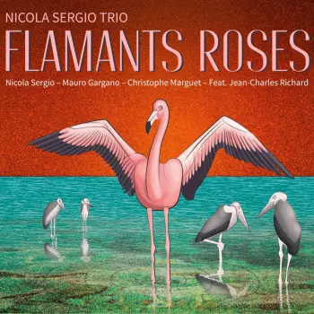 Nicola Sergio: Flamants Roses