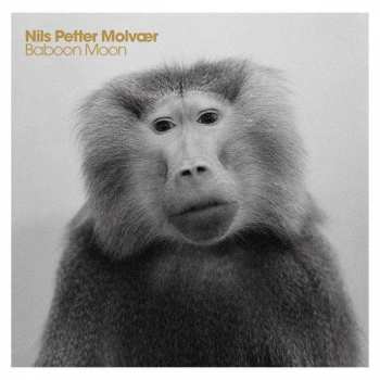 Album Nils Petter Molvær: Baboon Moon