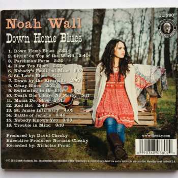 CD Noah Wall: Down Home Blues 117758