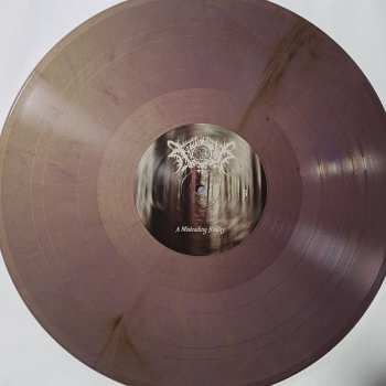 2LP Nocturnal Poisoning: A Misleading Reality CLR | LTD 567508