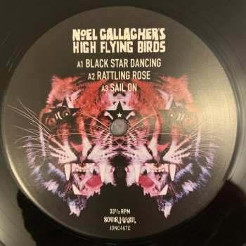 LP Noel Gallagher's High Flying Birds: Black Star Dancing 598758