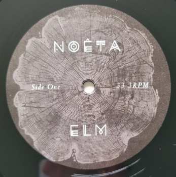 LP NOÊTA: Elm 552641