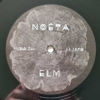 LP NOÊTA: Elm 552641