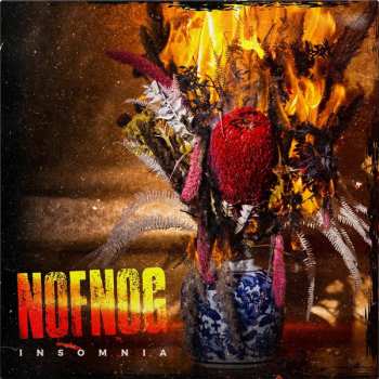 Album Nofnog: Insomnia