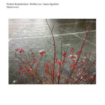 Album Norbert Rodenkirchen: Opalescence