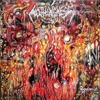 LP Nothingness: Supraliminal 529529