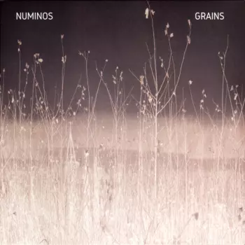 Numinos: Grains