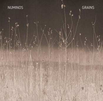 LP Numinos: Grains 575078