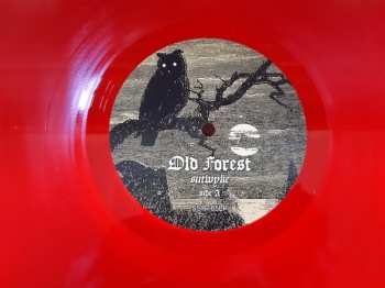 LP Old Forest: Sutwyke LTD | CLR 499788