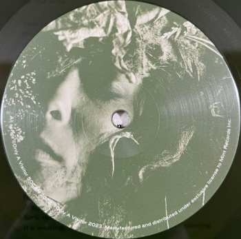 LP Only a visitor: Decay CLR | LTD 483980