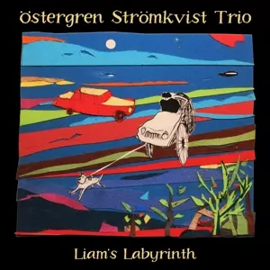 Ostergren Stromkvist Trio: Liam's Labyrinth