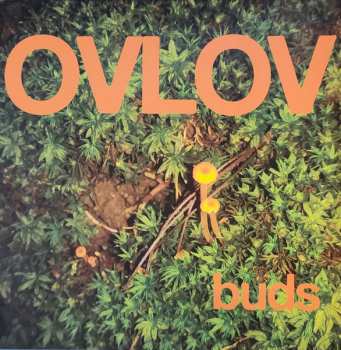 LP Ovlov: Buds CLR 556560