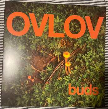 LP Ovlov: Buds CLR 556560