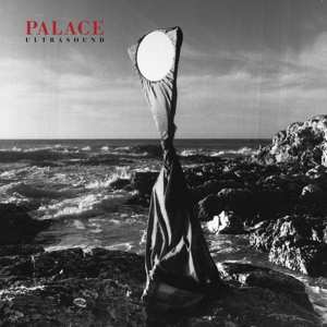 LP Palace: Ultrasound 543836