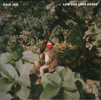 CD Pale Jay: Low End Love Songs 628453