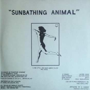 LP Parquet Courts: Sunbathing Animal 583496