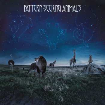 Album Pattern-Seeking Animals: Pattern-Seeking Animals