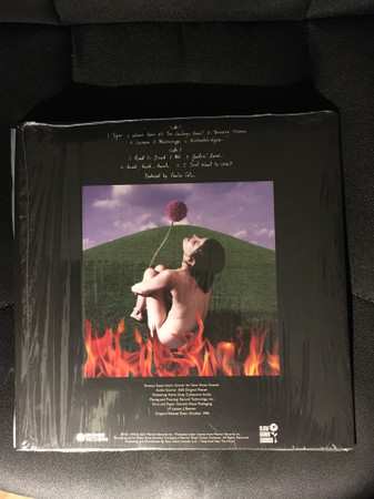 LP Paula Cole: This Fire  CLR 496108