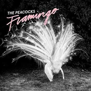 Album Peacocks: Flamingo