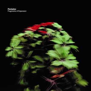 CD Pentadox: Fragments Of Expansion 637783