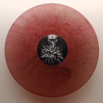 LP Permutation: Transience CLR | LTD 512219