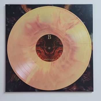 LP Pestilength: Solar Clorex CLR | LTD 580011