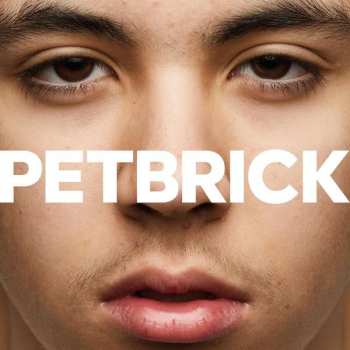 LP Petbrick: I 319261