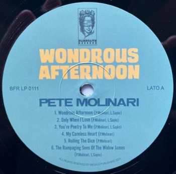 LP Pete Molinari: Wondrous Afternoon 562714