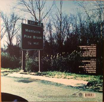 LP Pete Yorn: ArrangingTime 2731