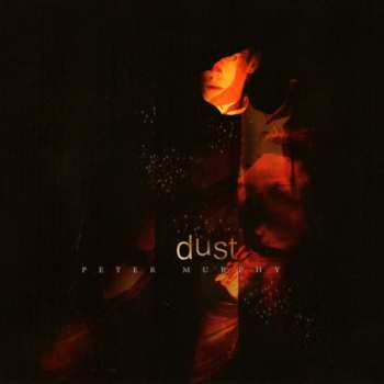 Album Peter Murphy: Dust