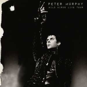 2CD Peter Murphy: Wild Birds Live Tour 617569