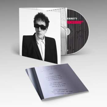 CD Peter Perrett: The Cleansing 641068