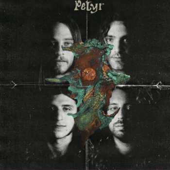 LP Petyr: Petyr LTD | CLR 135481