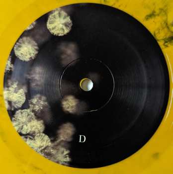 2LP Phantogram: Eyelid Movies CLR | DLX | LTD 605449