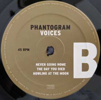 2LP Phantogram: Voices 603917