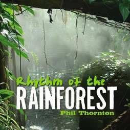 Album Phil Thornton: Rhythm Of The Rainforest