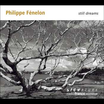 2CD Philippe Fenelon: Still Dreams 623266