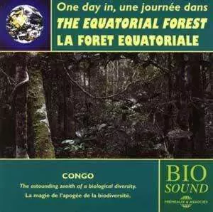 Pierre Huguet: One Day In The Equatorial Forest