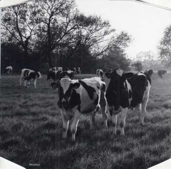 CD/Blu-ray Pink Floyd: Atom Heart Mother LTD 620087