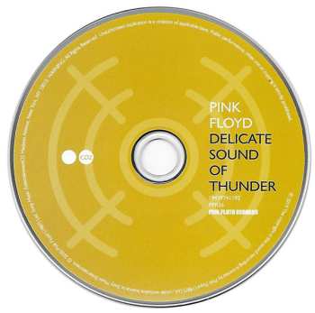 2CD Pink Floyd: Delicate Sound Of Thunder DIGI 617640