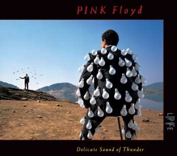 2CD Pink Floyd: Delicate Sound Of Thunder DIGI 629401